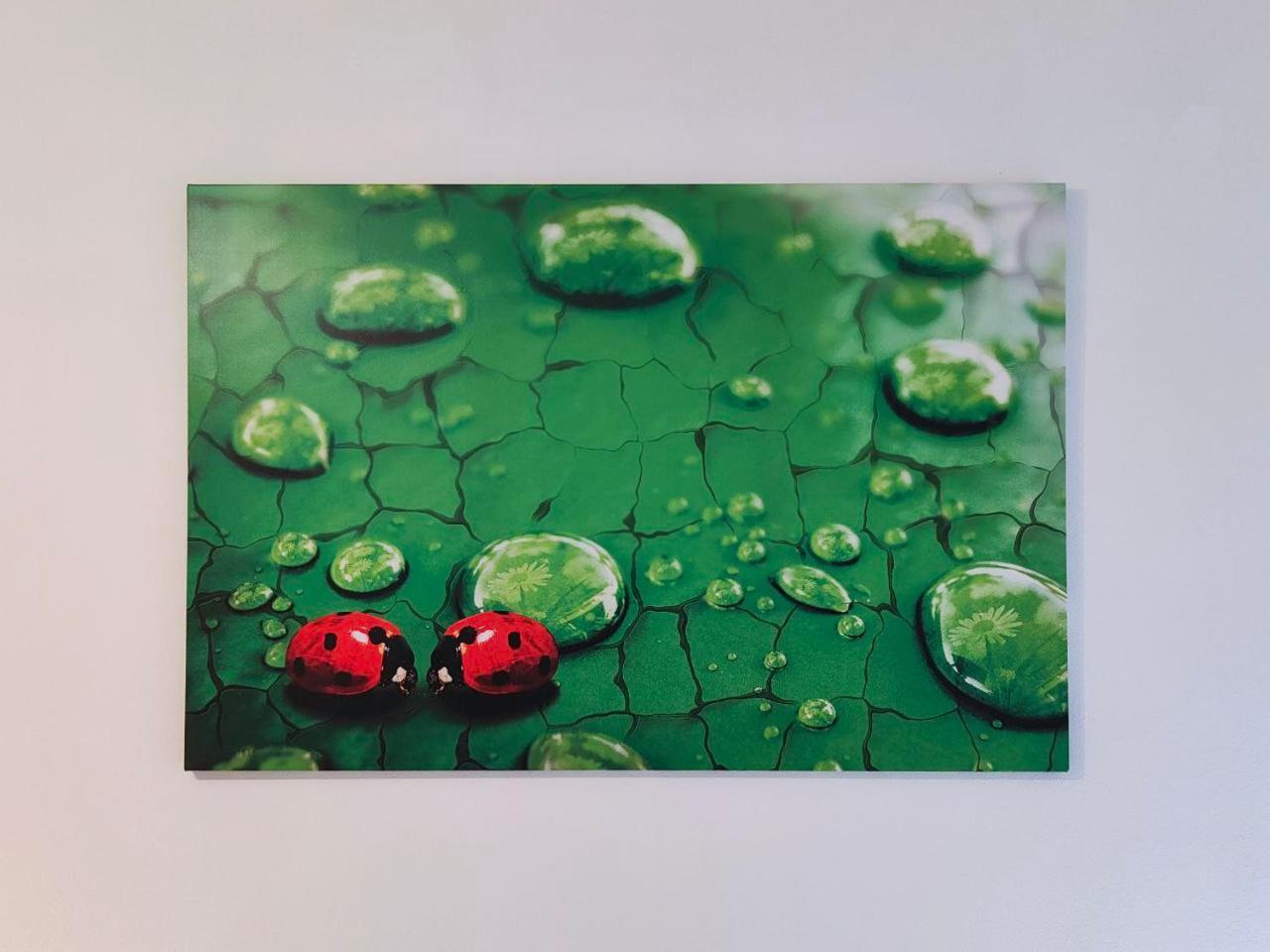 La Coccinella Di Susa Pergine Valsugana Εξωτερικό φωτογραφία